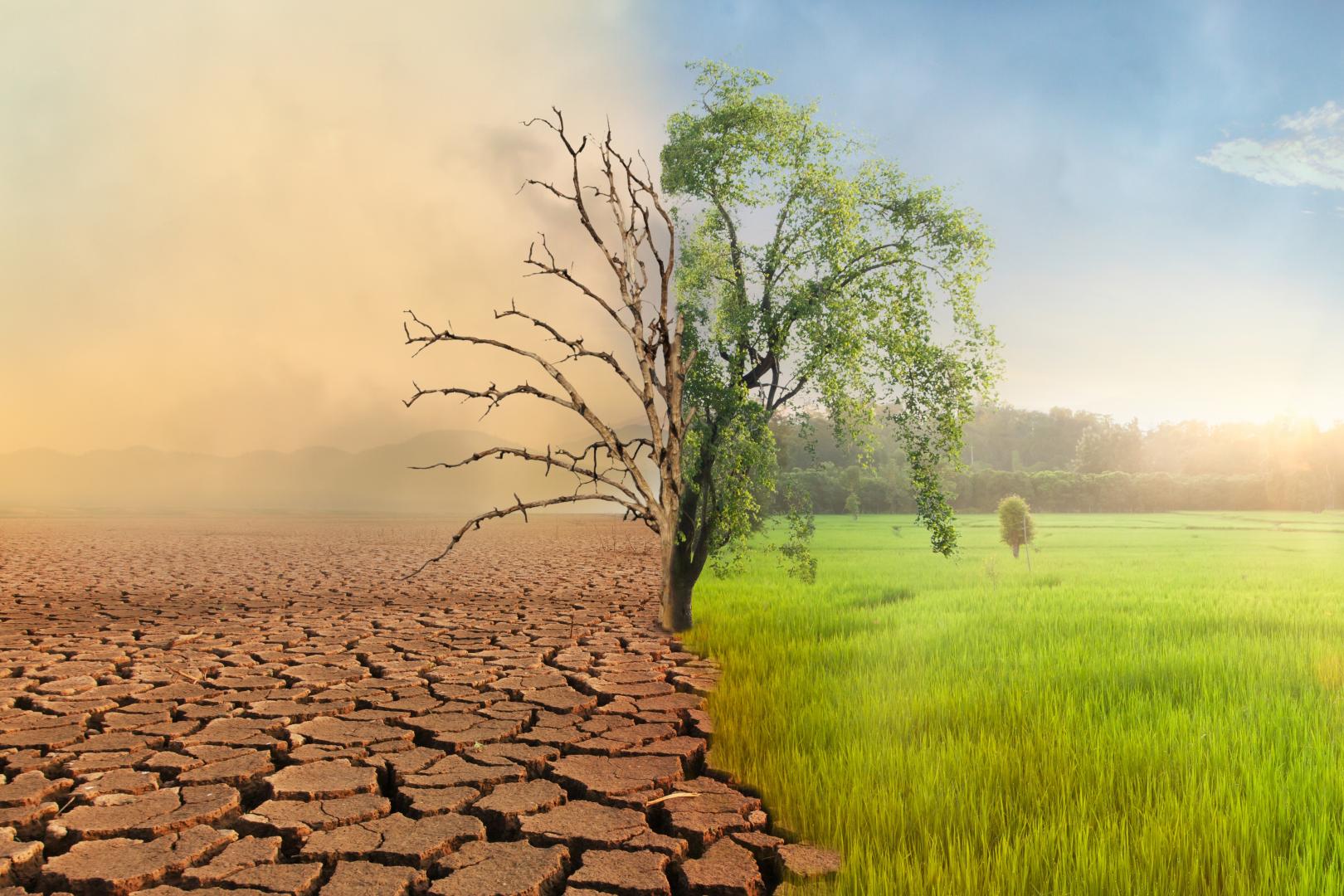 Climate Change Consulting Services